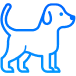 Dog-Friendly Offices